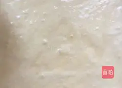 French sponge cake recipe 10