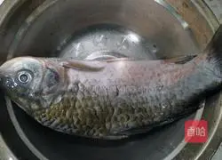 How to steam fish Illustration 1