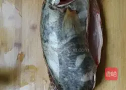 Squirrel Mandarin Fish Illustration of how to do it 1