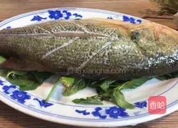 Illustration of how to make mint seabass 4