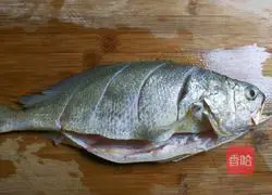 Gold and Silver Illustration of how to make garlic croaker 1