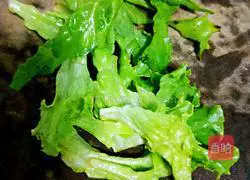 Three shred salad recipes 13