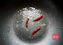 Lazy Kung Pao Chicken Recipe Illustration 6