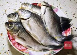 Fish Illustration of how to make cans 1