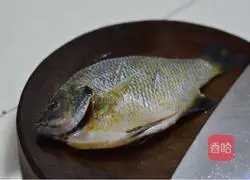 Illustration of how to make sunfish 2