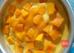 Mango Mousse Recipe Illustration 10