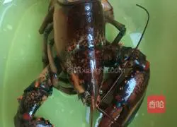 Boston lobster recipe illustration 1