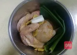 (Rice cooker) shredded chicken illustration 2