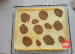Leopard Print Cream Cake Roll Recipe Illustration 19
