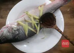 Illustration of steamed sea bass 4
