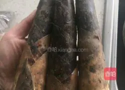 Casserole with Spring Bamboo Shoots and Beef Stew Illustration 13