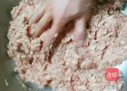 Illustration of how to make dry croquettes 2