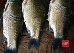 Illustration of how to make cold crucian carp (oil-free version) 2