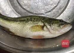 Illustration of steamed sea bass 1