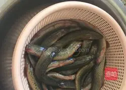 Stewed loach in sauce Practice illustration 3