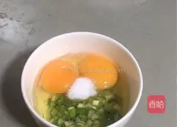 Illustration of home-style fried eggs with chopped green onion 1