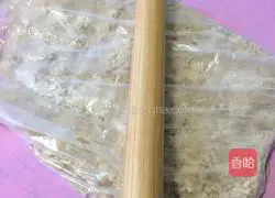 Illustration of homemade meat floss 11