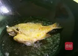 Braised Fish (Sunfish) Recipe Illustration 4