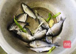 Illustration of how to cook small crucian carp with bean paste 1