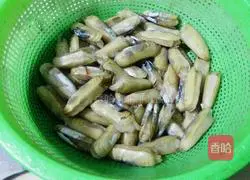 Illustration of stir-fried razor clams 2