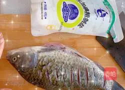 Illustration of Braised Crucian Carp 1