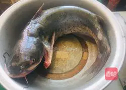 Illustration of how to make steamed zander 1