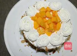 Mango Cream Cake Recipe Illustration 6