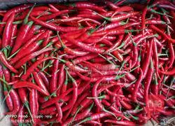 Illustration of Homemade Hunan (Purely Handmade) Chopped Chili Peppers 1