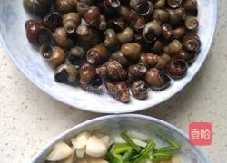 Illustration of braised screws 1