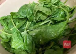 Spinach and Quinoa Salad Recipe Illustration 1