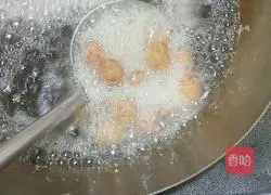 Illustration of how to make dry croquettes 5