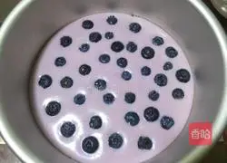 Blueberry Mousse Cake Recipe Illustration 8