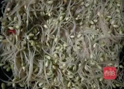 Illustration of how to make stir-fried bean sprouts 4