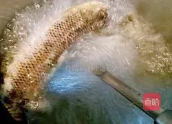 Illustration of how to make black fish, red dates and pumpkin soup 7