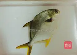 Illustration of how to cook fish in water 1