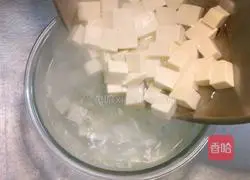 Sichuan Mapo Tofu Recipe 7