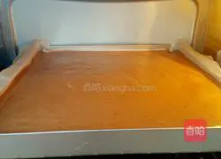 Chocolate Cream Cake Roll Recipe Illustration 11