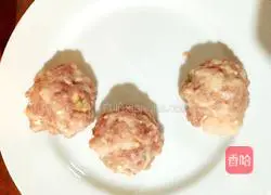 Illustration of how to make dry croquettes 4