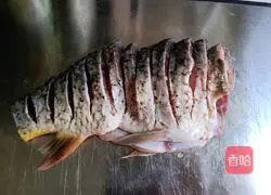 Illustration of how to make the prosperous peacock fish with open tail 6