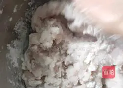 Illustration of making homemade fish balls 4