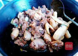 Illustration of Northeastern Braised Chicken 6