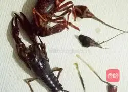 Illustration of how to make garlic crayfish 1