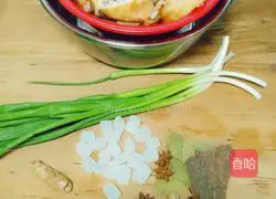 Illustration of braised soybeans and pig trotters 1