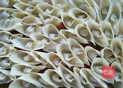 Shuangxue Chaoshou~ Illustration 6