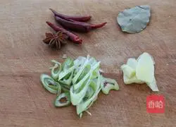 Illustration of Braised Pork and Stewed Potatoes 4