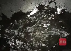 Illustration of steamed sea bass 4