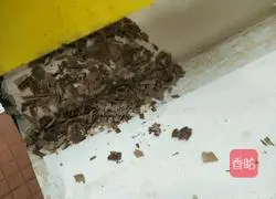 Black Forest Cake Roll Recipe Illustration 7