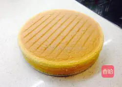 Sunshine Coast Mousse Cake Recipe Illustration 4