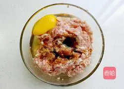 Illustration of home-style sweet and sour meatballs 3