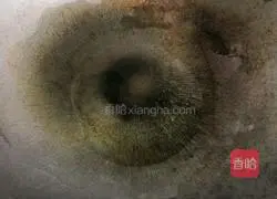 Illustration of how to make assorted fish soaks 5